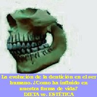 dentición